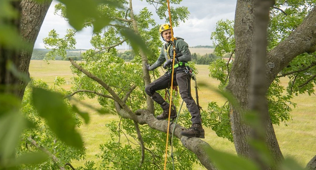 Kompletne wyposażenie dla wspinaczy drzewnych