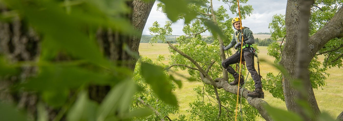 Kompletny sprzęt dla arborystów